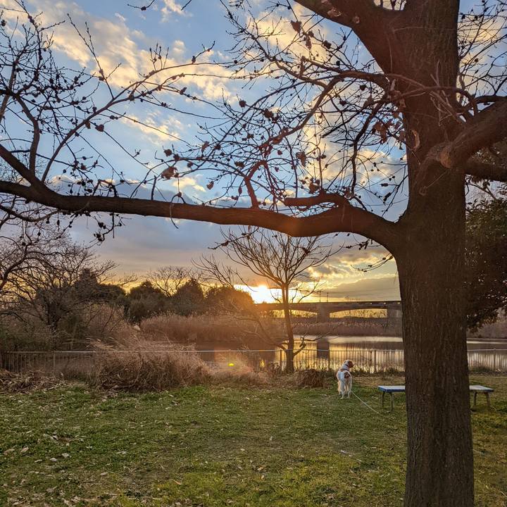 A8a45343 cc68 4575 9524 bd13452ead1a 1641555731397