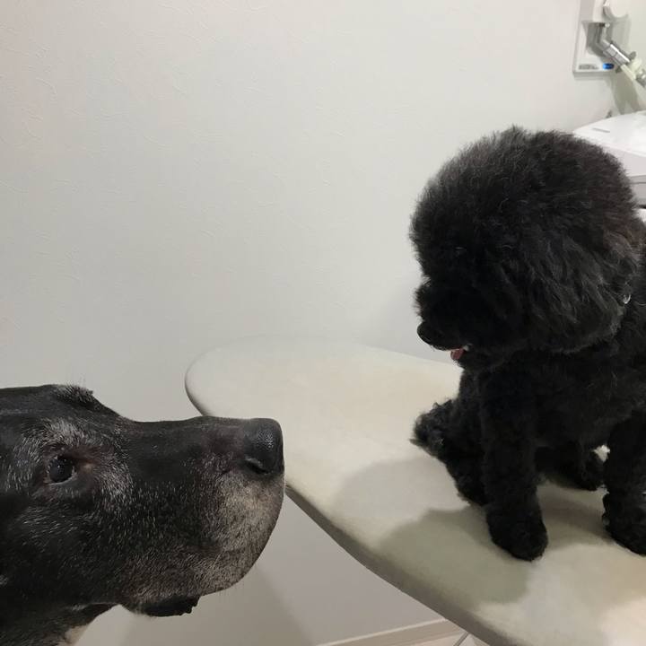 A8a46994 6fbf 4d71 91a0 6a30801a659f 1540690700076