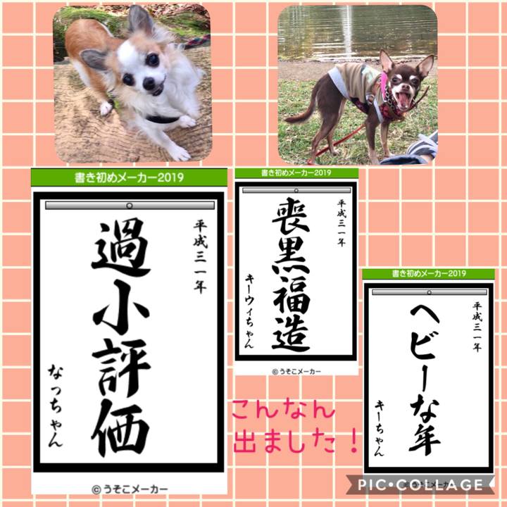 A8a46f10 2dea 4c89 92b8 04f0b3b3aad6 1546566094848