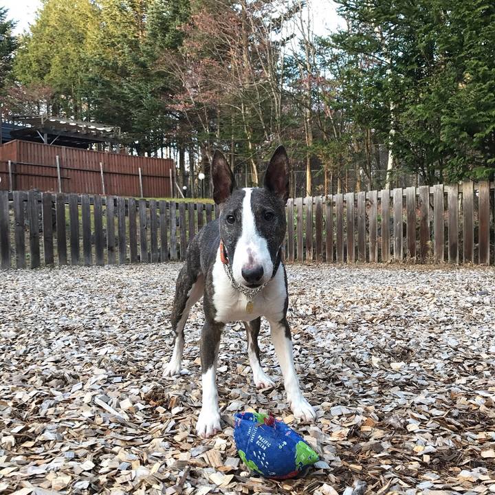 A8a4839a 978f 4196 b495 b3efbea54570 1510906339925