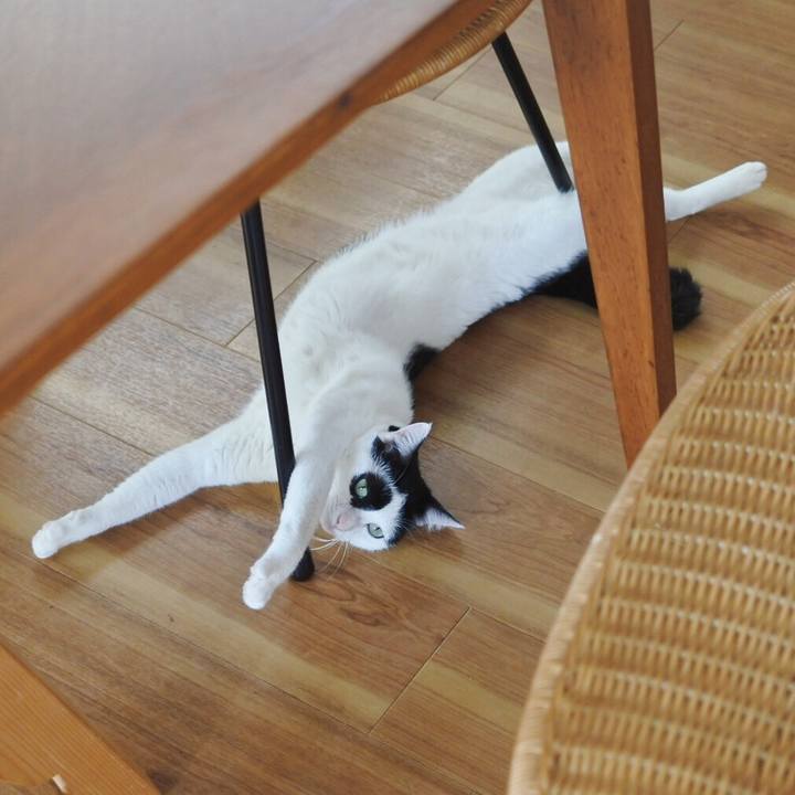 A8a4890e f931 408c a921 71ea6e4f8309 1570673717204