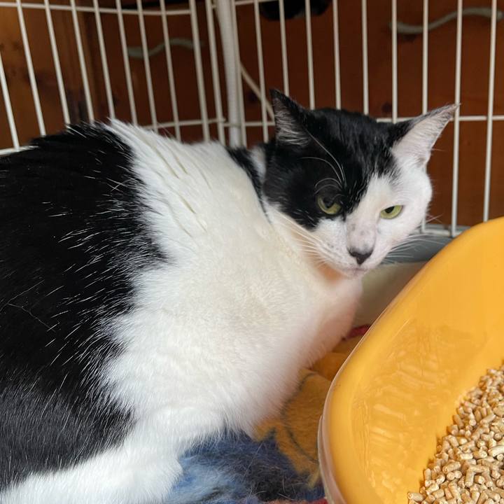 A8a4fe5c f58a 4234 89d6 bdb176778818 1648957443129