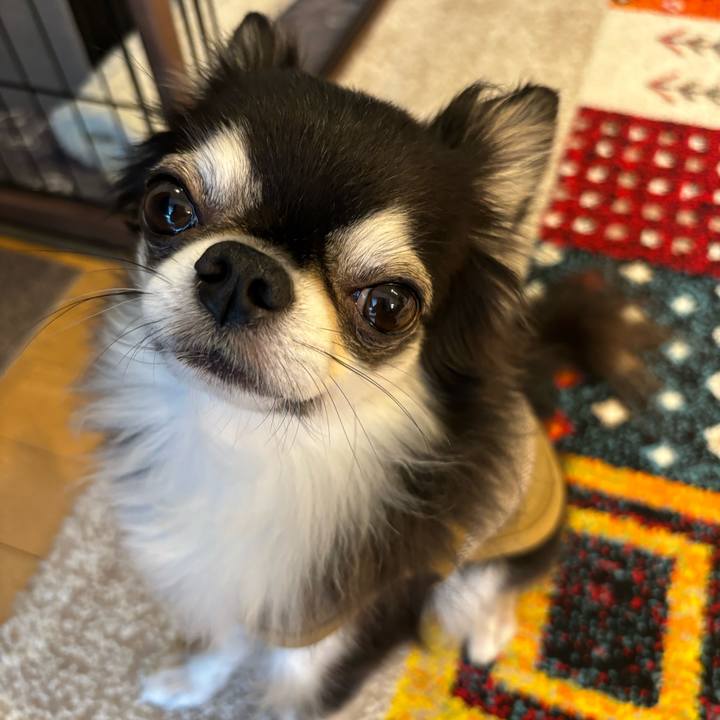 A8a572fe 56e3 4609 9f5d 247c16ecbc07 1722701122952