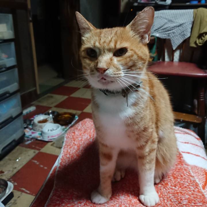 A8a58e45 2bc2 4243 85a3 db0b44836a39 1595966216294