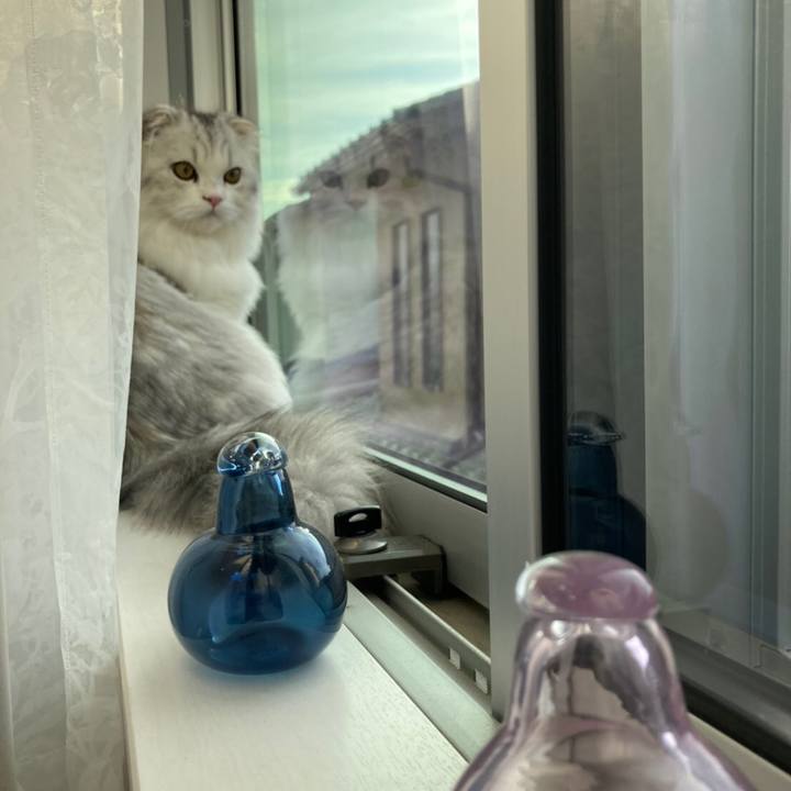 A8a5bef8 0782 4f5f 90be 5ea6dce08df6 1602977230991