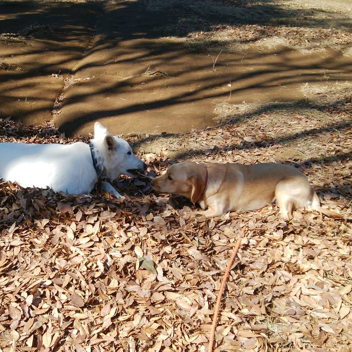 A8a5d65a 21c9 44f9 9d73 d0ce51a17d9a 1513058880300