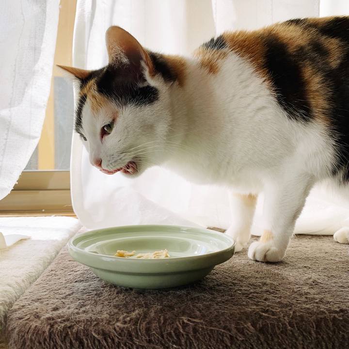 A8a5f640 9dd7 472f 92ba 14d02426a5d5 1557020476233