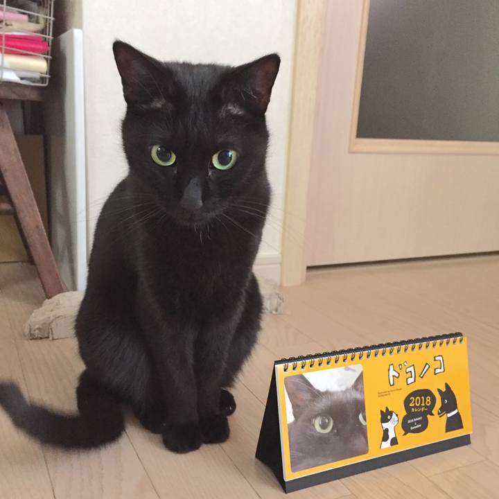 A8a636df 9276 41c9 aaad 450784c406b8 1510970265960