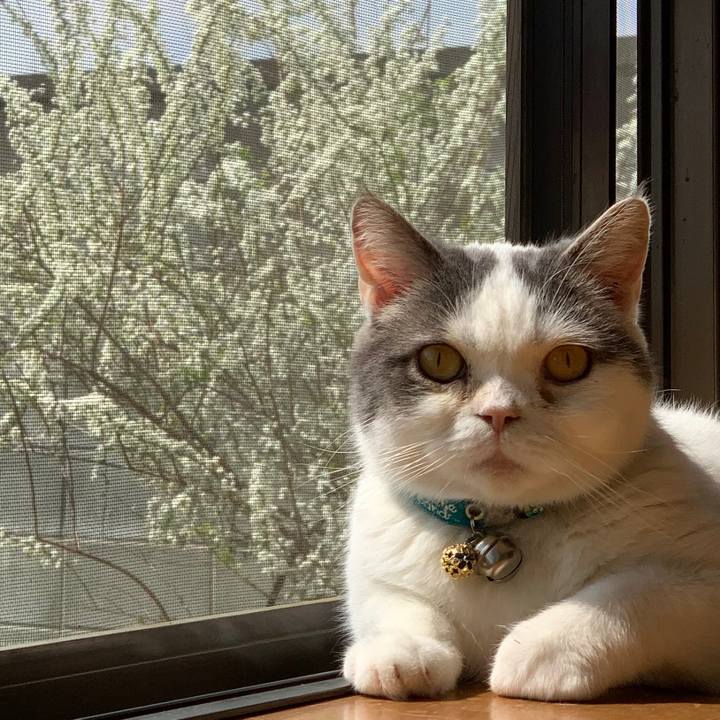 A8a64259 2d23 4ddc a197 92cff6b70c3a 1681021587996