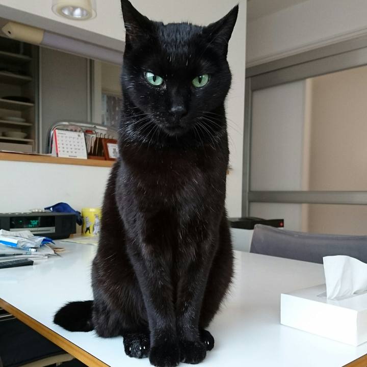 A8a671f6 a868 4c9c 93dc 85820857f36b 1510443501858