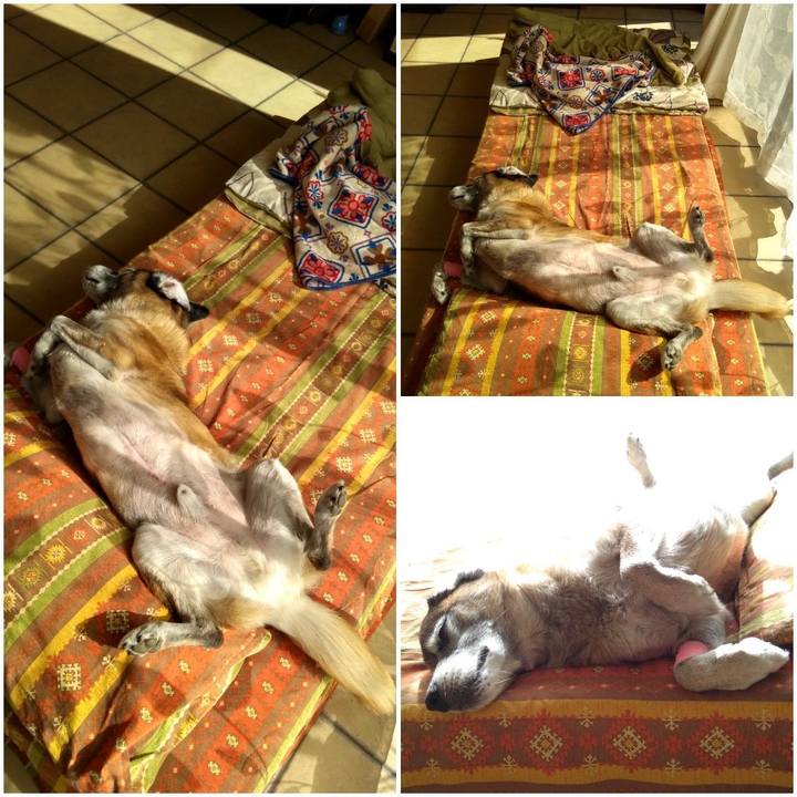 A8a67bea 7210 4503 afa1 975a7c39da37 1573117914454