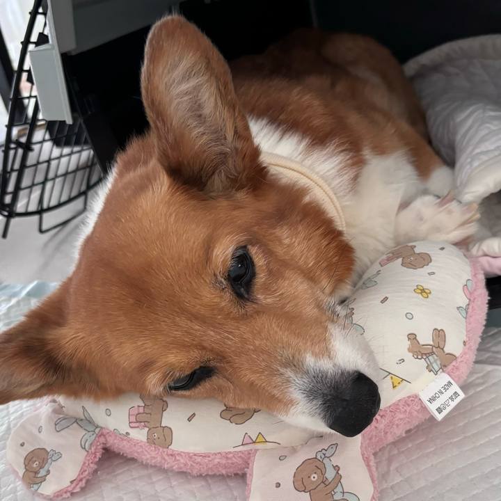 A8a67d97 65b6 4d42 98da 9278125fb254 1754551970412