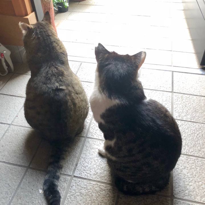 A8a6e3fd 5e2d 428e bd21 59634ddd05c6 1524708613761