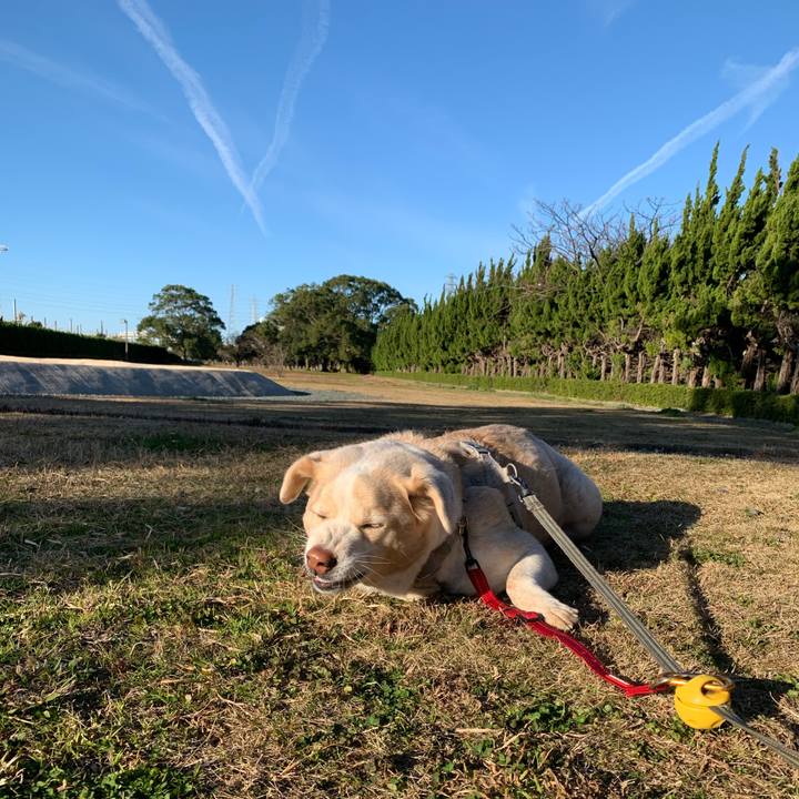 A8a6f934 9789 49bf 91d9 d2ab59828f05 1580614042679