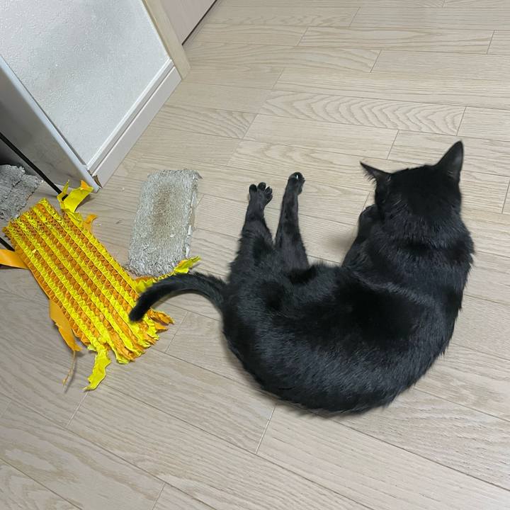 A8a6feb5 f167 4d52 99a8 762674ba7360 1670158339141