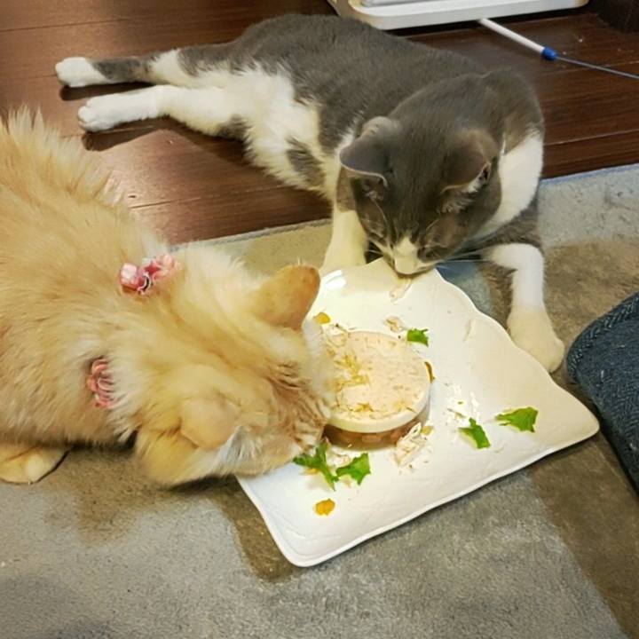 A8a70b87 fba4 428e 88e3 926910c3e503 1665666224405