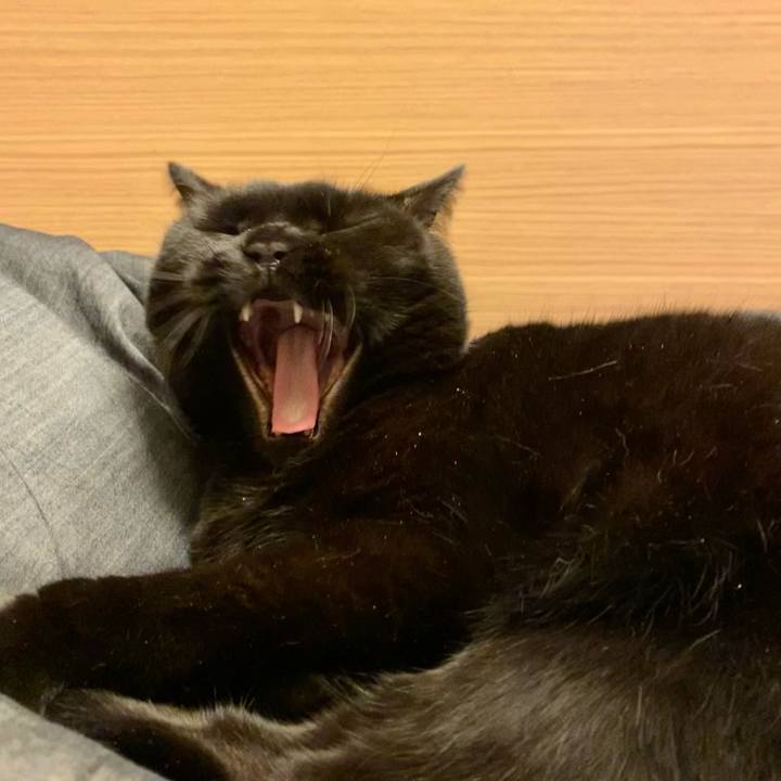 A8a71710 ace8 4016 b653 14373580e0f8 1675517679295