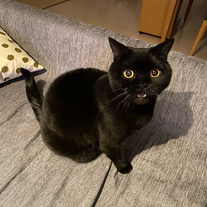 A8a765e5 b5da 42d1 b137 4fa9e8fa7359 1737374814069