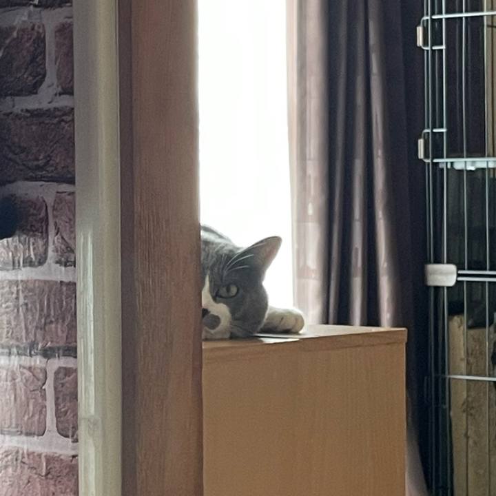 A8a76833 8a6a 4337 bfd0 5b965d8c00e1 1661467046272