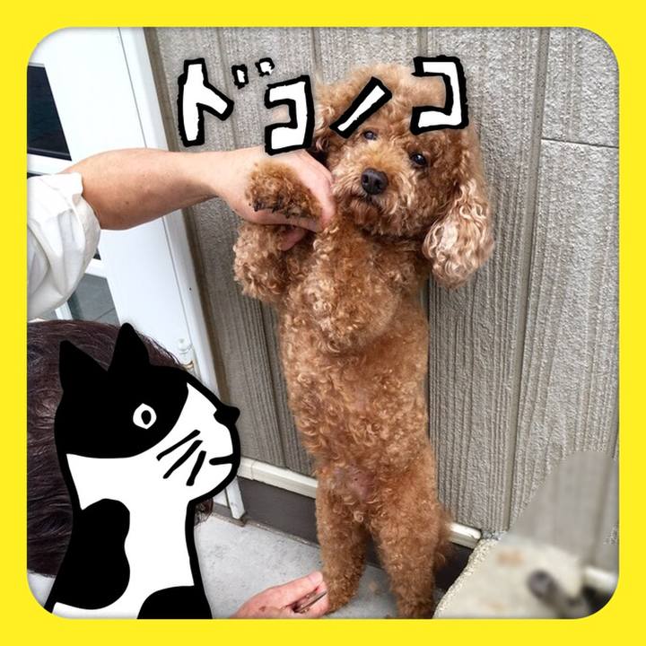 A8a7787a 85a3 4c24 b170 b6d56d863c5a 1623222711690