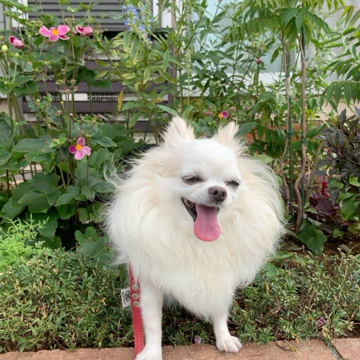 A8a7b64b 0413 44e9 9d68 0e15224d92ba 1760144051353