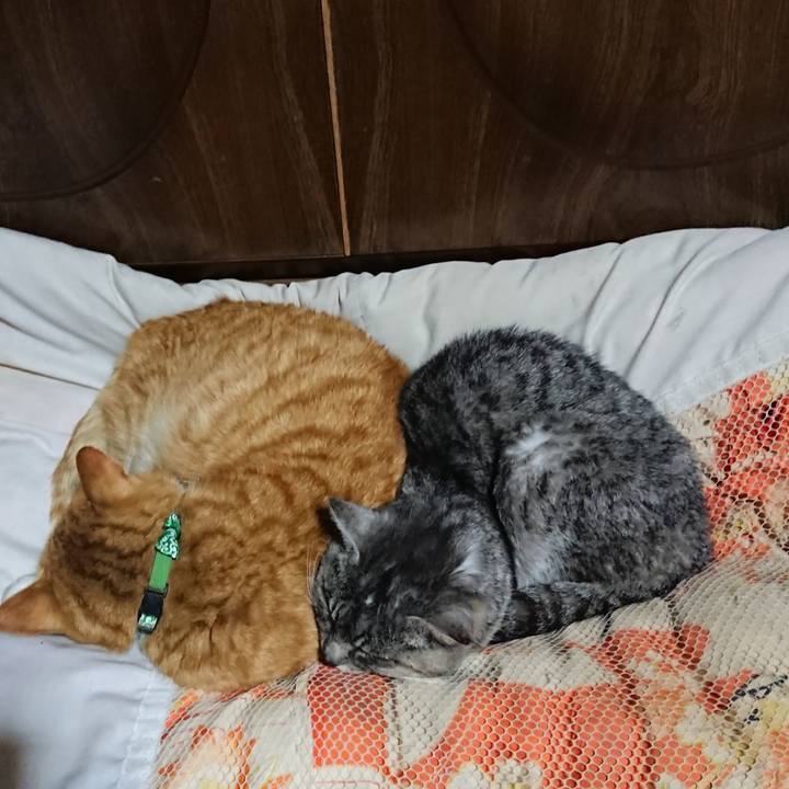 A8a7ef7c 3b31 42fb bcb8 1fdd2c47103d 1580737071272