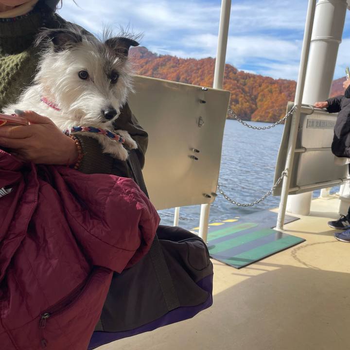 A8a82f2d 5835 41e7 8f52 0efb999af054 1762343258436