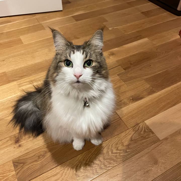 A8a8316d af23 429c ae77 efd03636a209 1641911043780