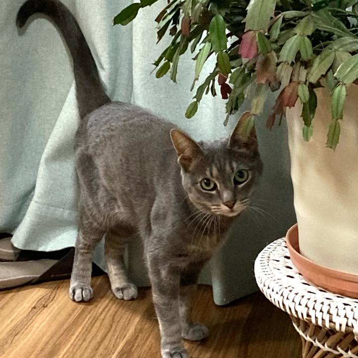 A8a83d92 77dd 4cc5 b6c1 becf4ada5aed 1711795552396