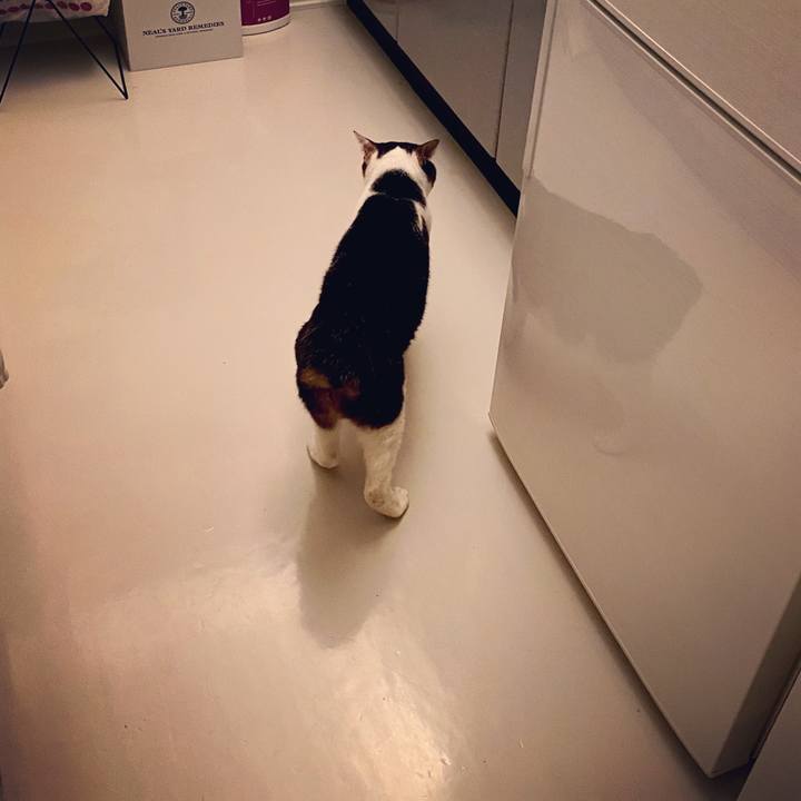 A8a866a2 4a58 4979 8e15 c5ec3f7f6c1b 1595513654154