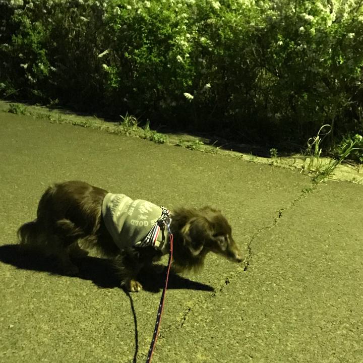 A8a87330 ddd8 499b b3cf af56284407ad 1522836611173