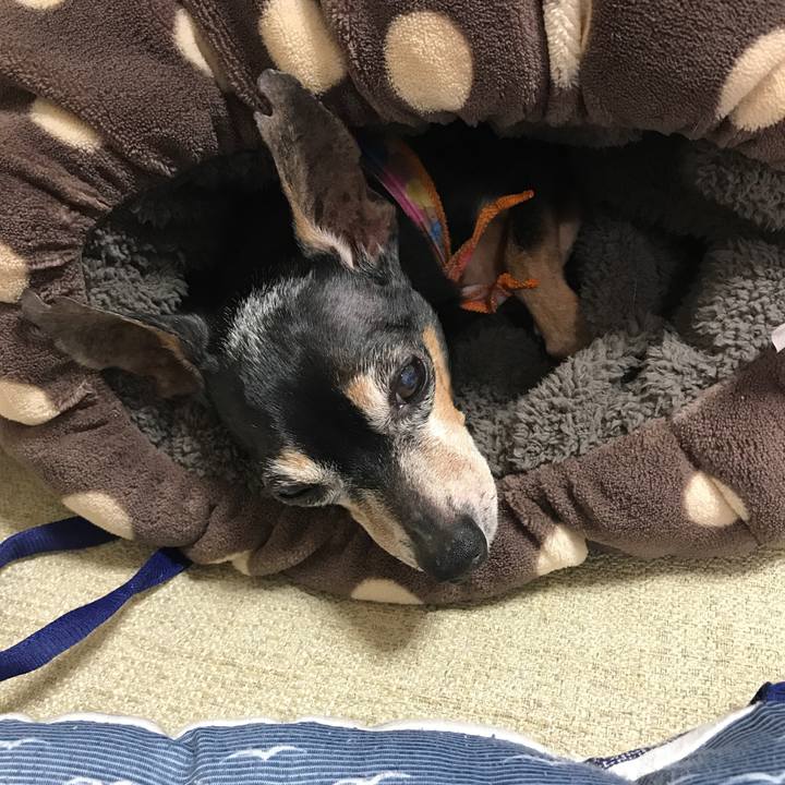 A8a8d069 5a86 41b4 8c32 6f4ddf6c629e 1518865788471