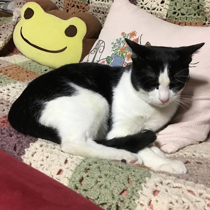 A8a8e13c db3d 4343 9aa7 9593e2934d27 1639739189081