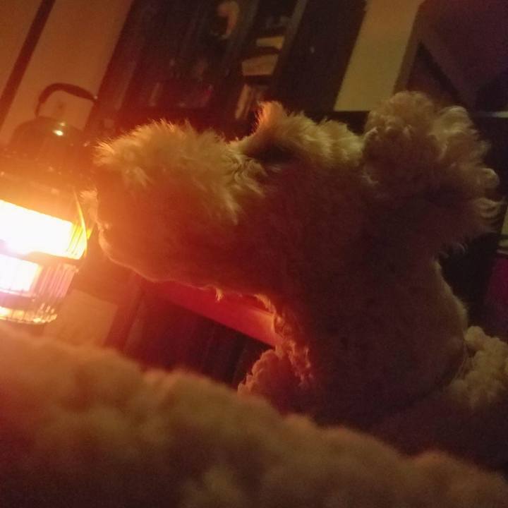 A8a8e22a e12e 4497 82d5 3b506f79ee30 1546496802027