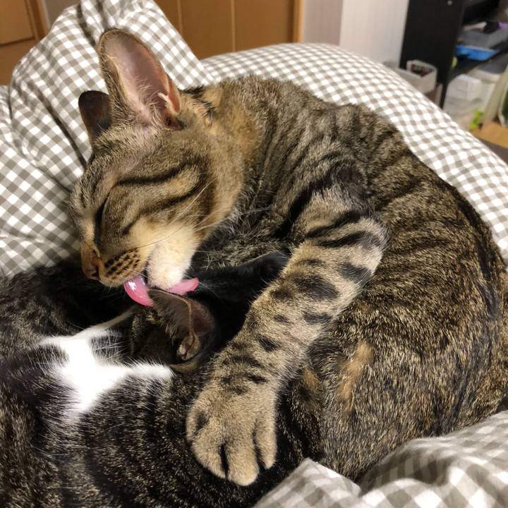 A8a916b3 13ec 4cc1 8309 a422e55218a5 1516546233887