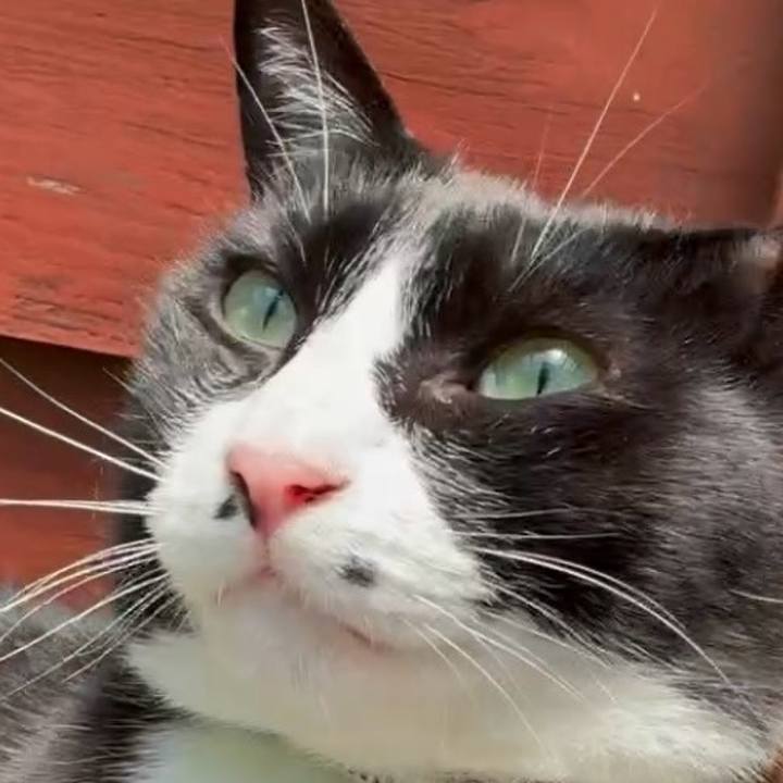 A8a91809 dc45 4b03 b36a d7817d45949d 1749125131121