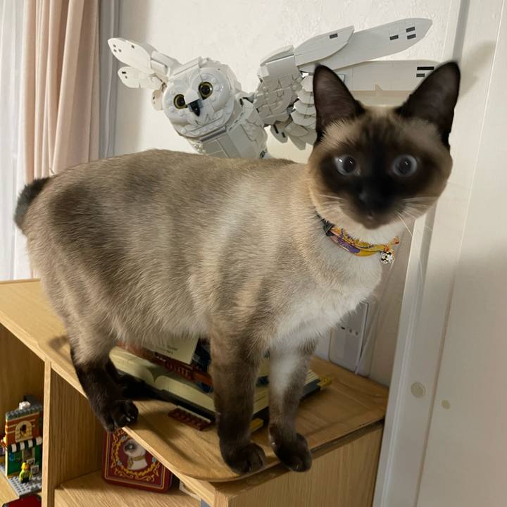 A8a92048 6e63 4460 83ab 7d24b077a8e7 1724615307648