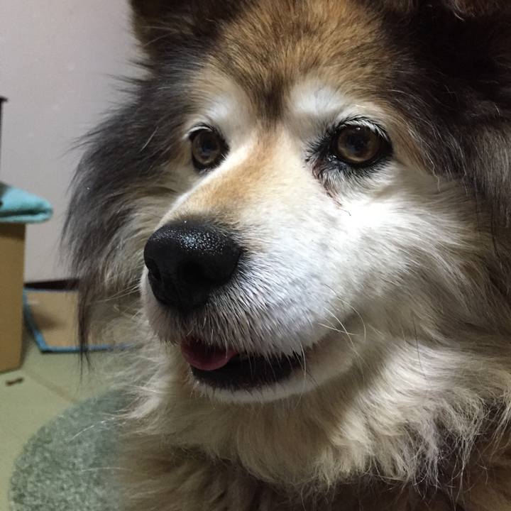 A8a92a2e 7d86 4e77 bedb 6c55ca760bad 1596158001023