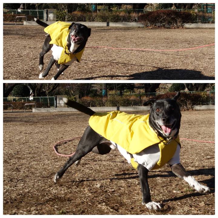 A8a9415a debe 42fa 9b07 75de8fff20c1 1738889280613