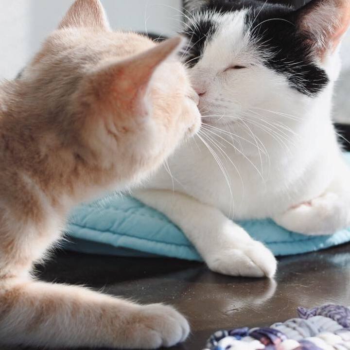 A8a94d22 7758 4da6 b7e8 03eec34ef88a 1544840960621