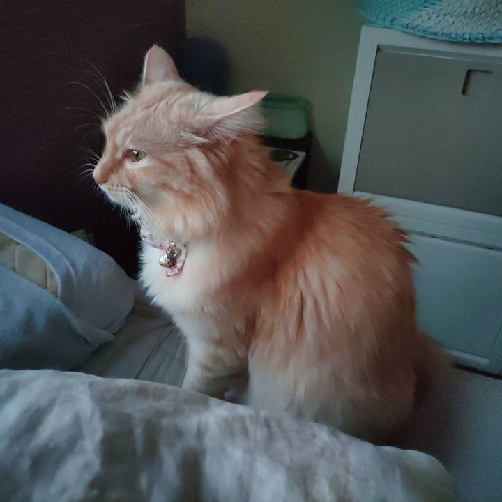 A8a9642f 6b0e 4893 a4e9 585080f9ca62 1664142386906