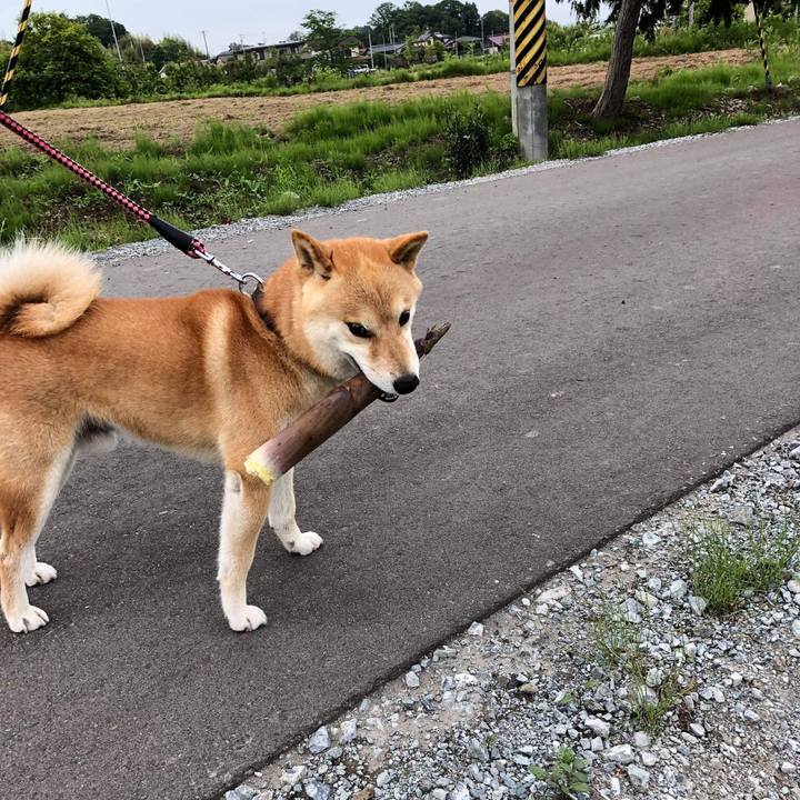 A8a9a8b7 02aa 4060 b1a3 308a5dbc2ccd 1562169156629