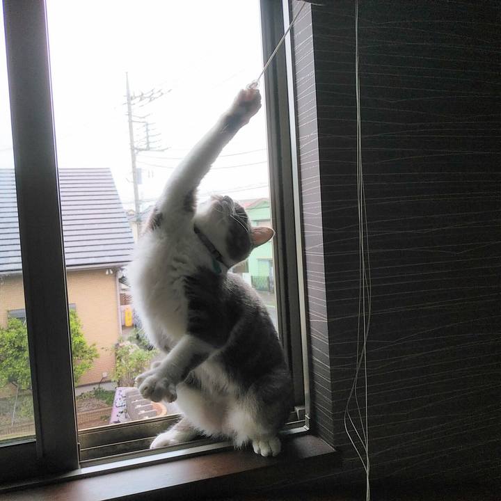 A8a9af68 9091 4d0c 95e2 1b795f76bdc7 1588545756290