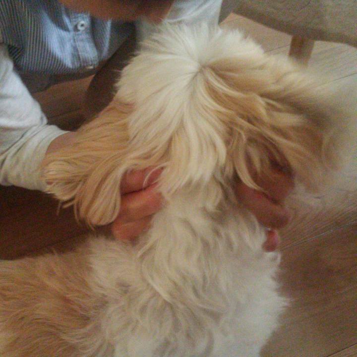 A8a9c6b5 54e2 433c a4f4 e6dff59893c1 1526904186004