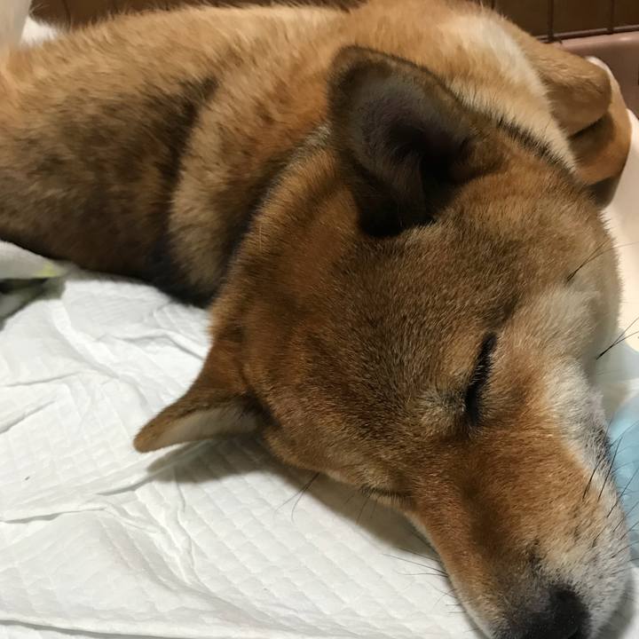 A8a9d1e8 8260 4e1d 85c0 dd7d04038a21 1524606751007