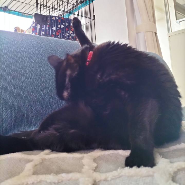 A8a9e195 4a40 4cef 9a86 3854dbc17d15 1703982348848