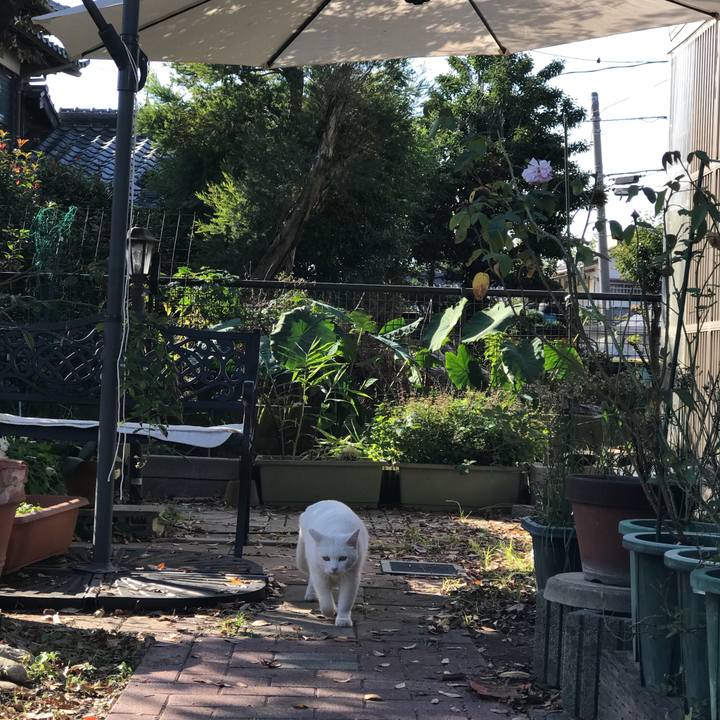 A8a9e72b f3c7 47b2 8e33 ee447a3e7cc9 1509946059936