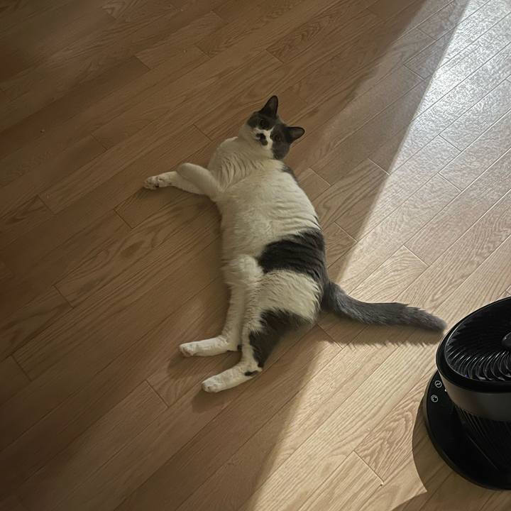 A8aa2bee dfc5 47b6 ab84 86a802319c61 1752238930060