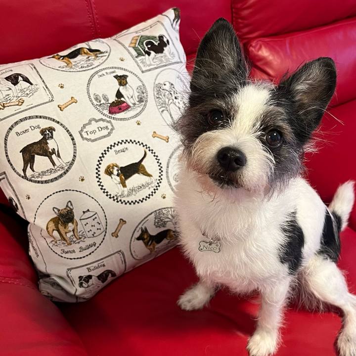 A8aa4633 1827 45e1 a900 3f5da2c86788 1717234904145