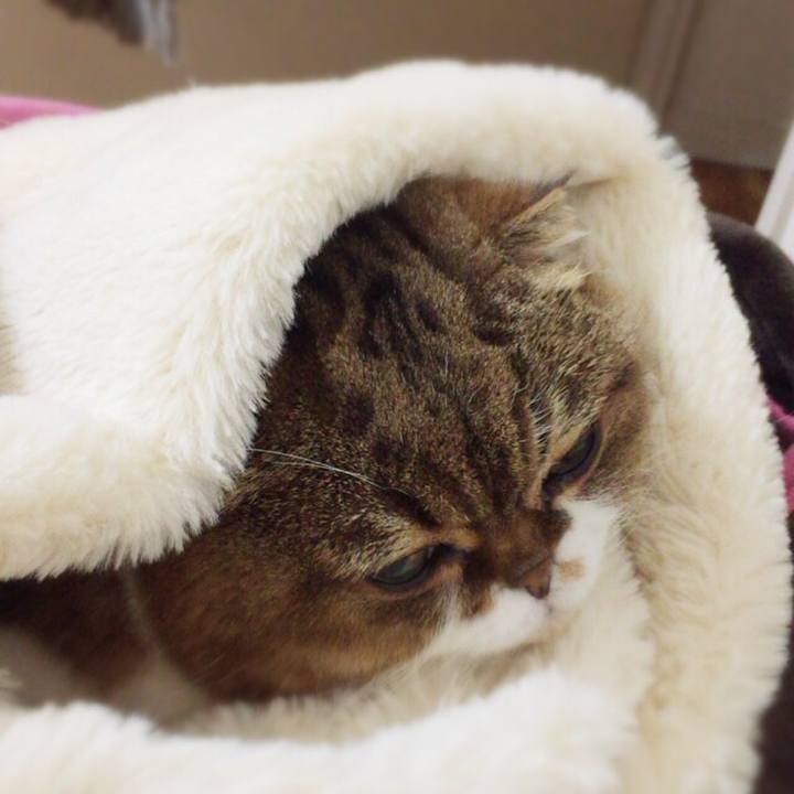 A8aa5159 824a 4724 8ff9 6dd5529f506b 1515406633017